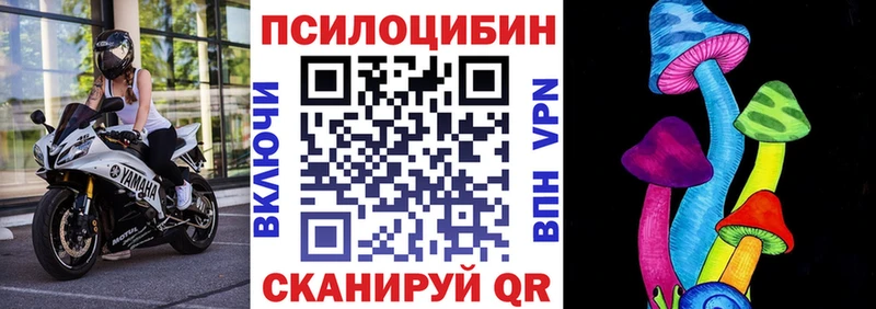 Псилоцибиновые грибы Psilocybine cubensis  Барыш 